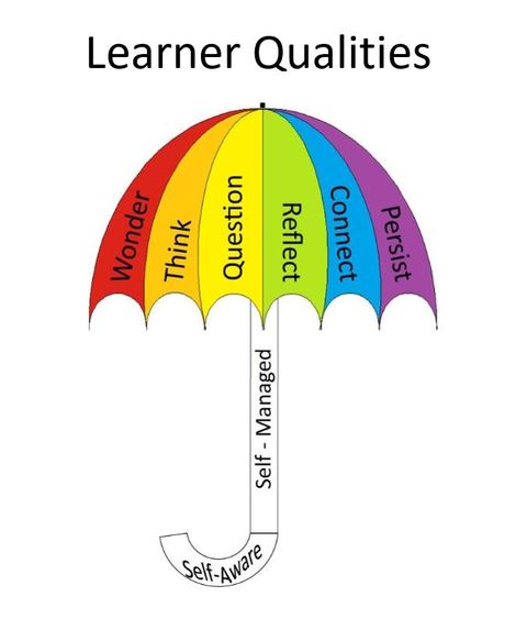 Learner qualities website.JPG