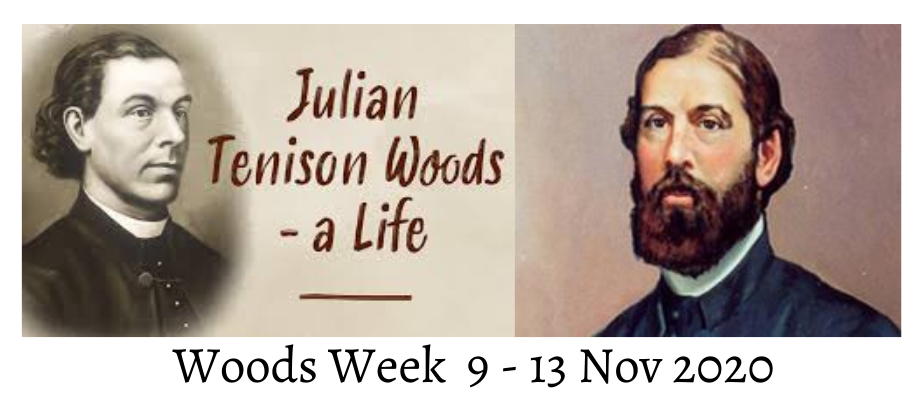 Woods Week 9 - 13 Nov 2020.png