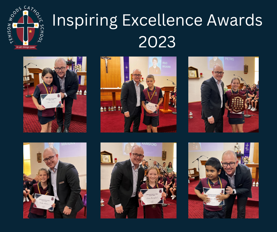Inspiring Excellence Awards 2023.png